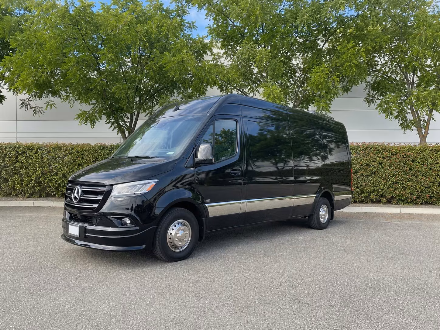sprinter van with driver